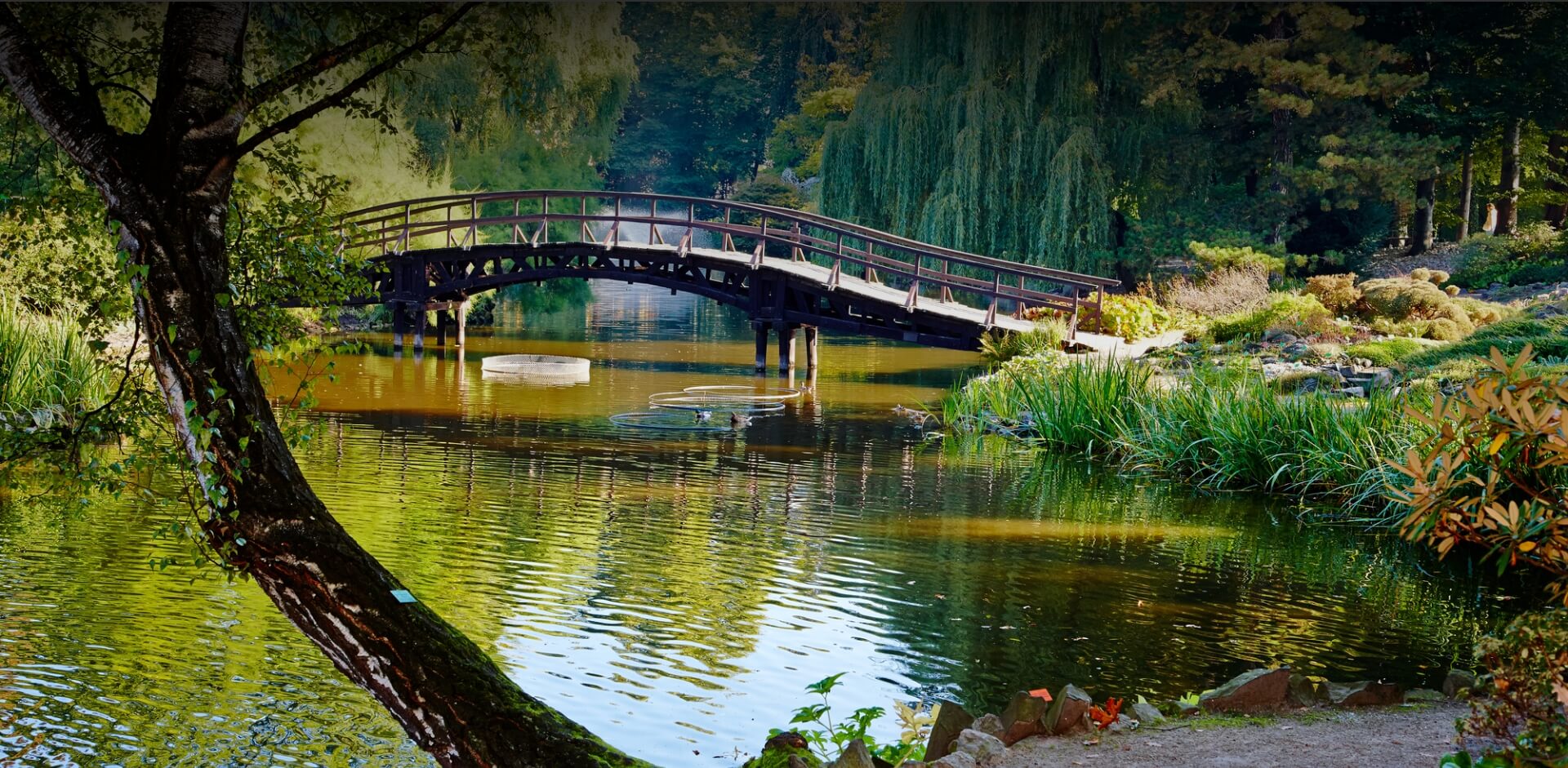Beautiful bridge scene